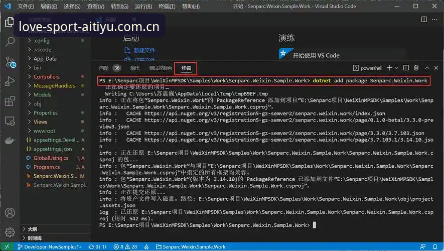 爱体育官网入口安装失败？vs成功安装指南：从根源解决问题